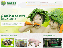 Tablet Screenshot of calcob.com